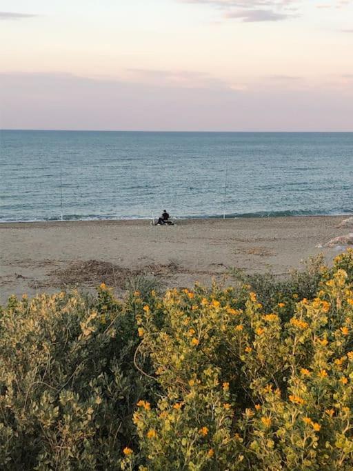 Logement Plage Saint-Cyprien  Exterior photo