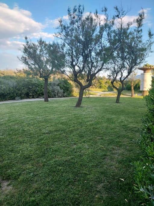 Logement Plage Saint-Cyprien  Exterior photo